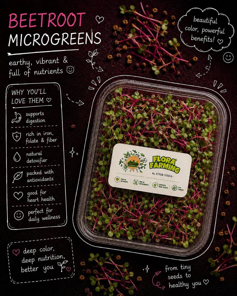 Beetroot Microgreens