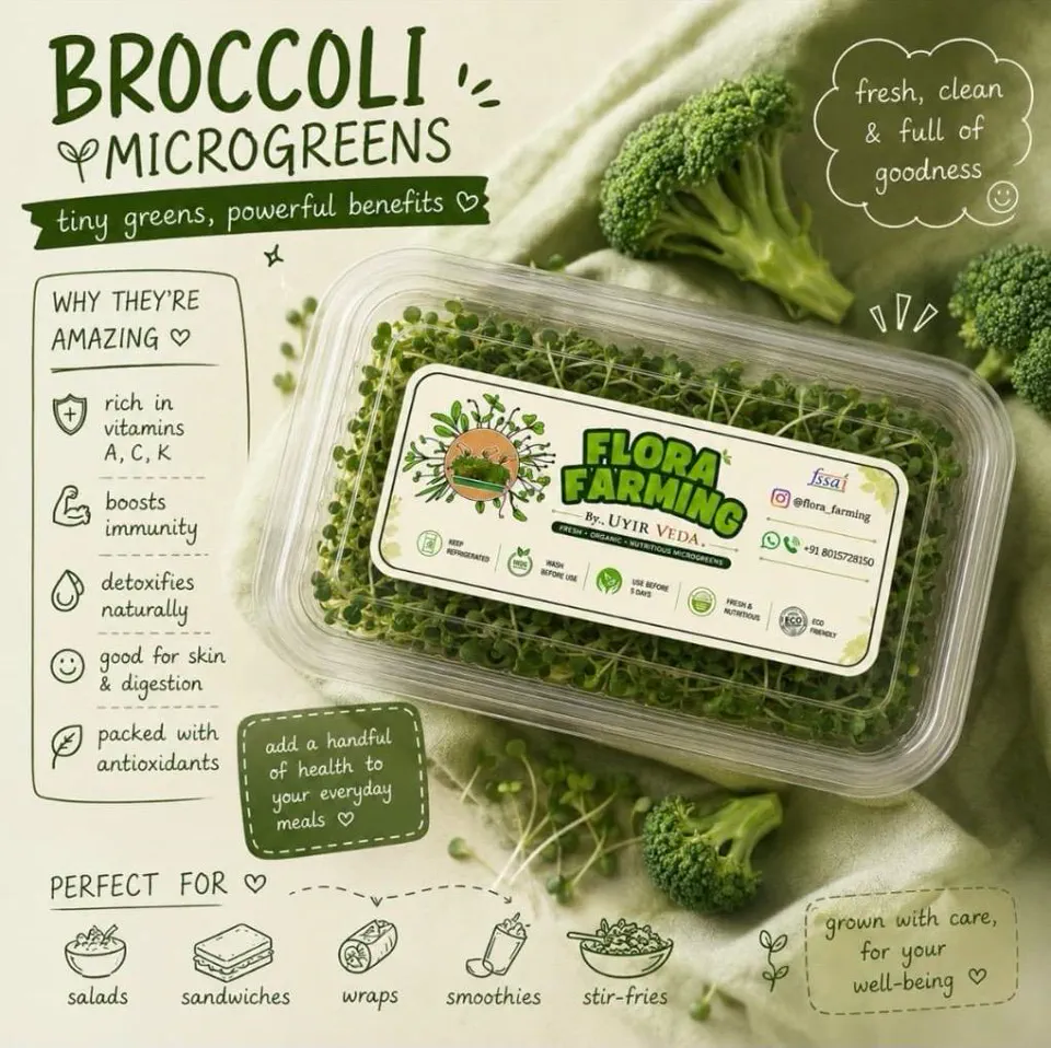 Broccoli Microgreens
