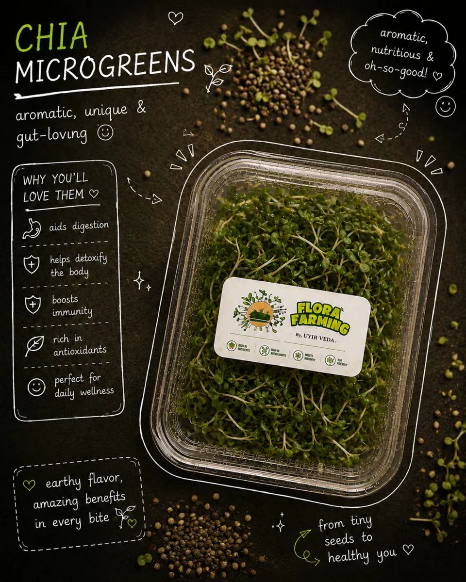 Chia Microgreens