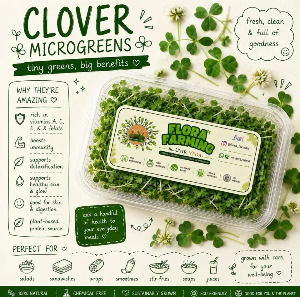 Clover Microgreens