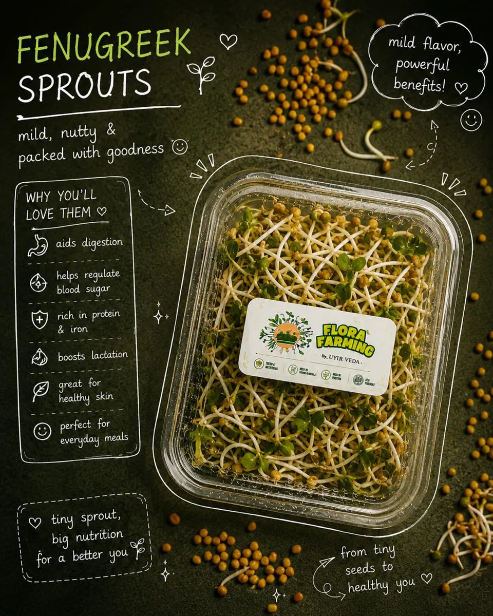 Fenugreek Microgreens