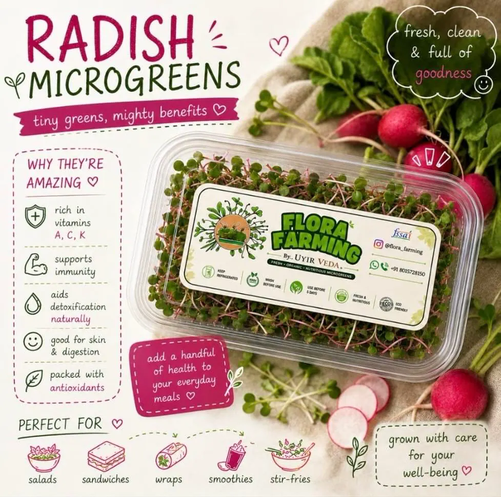 Radish White Microgreens