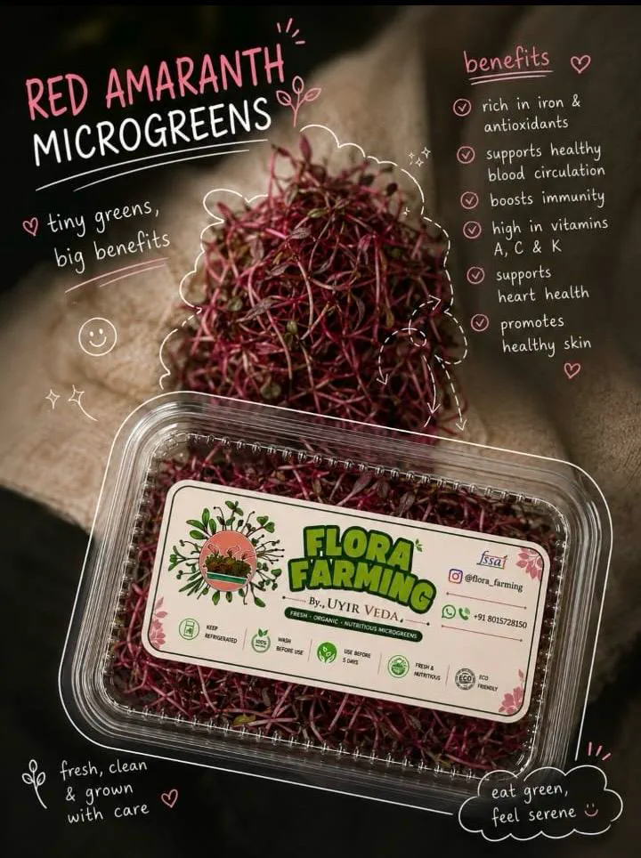 Red Amaranth Microgreens