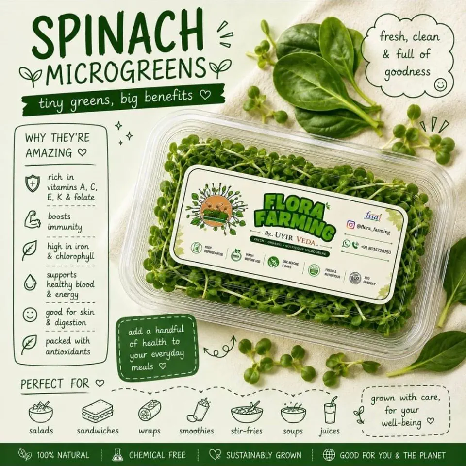 Spinach Microgreens