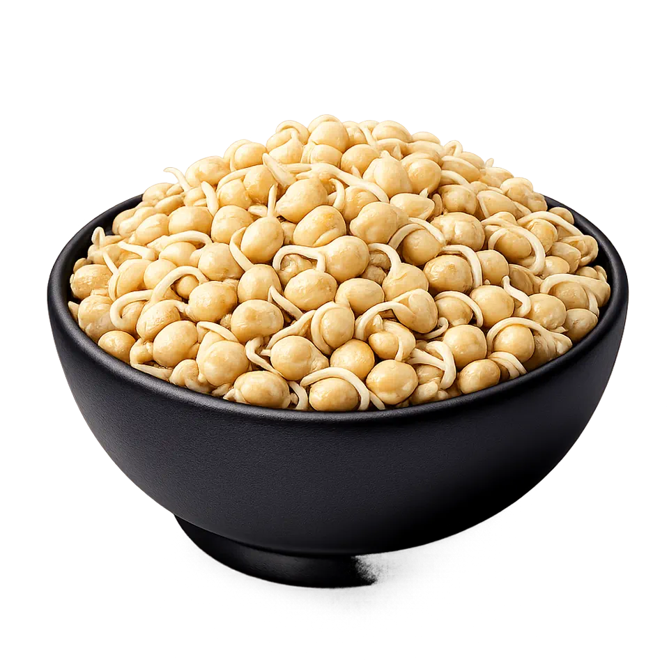 Chickpea (Kabuli Chana) Sprouts