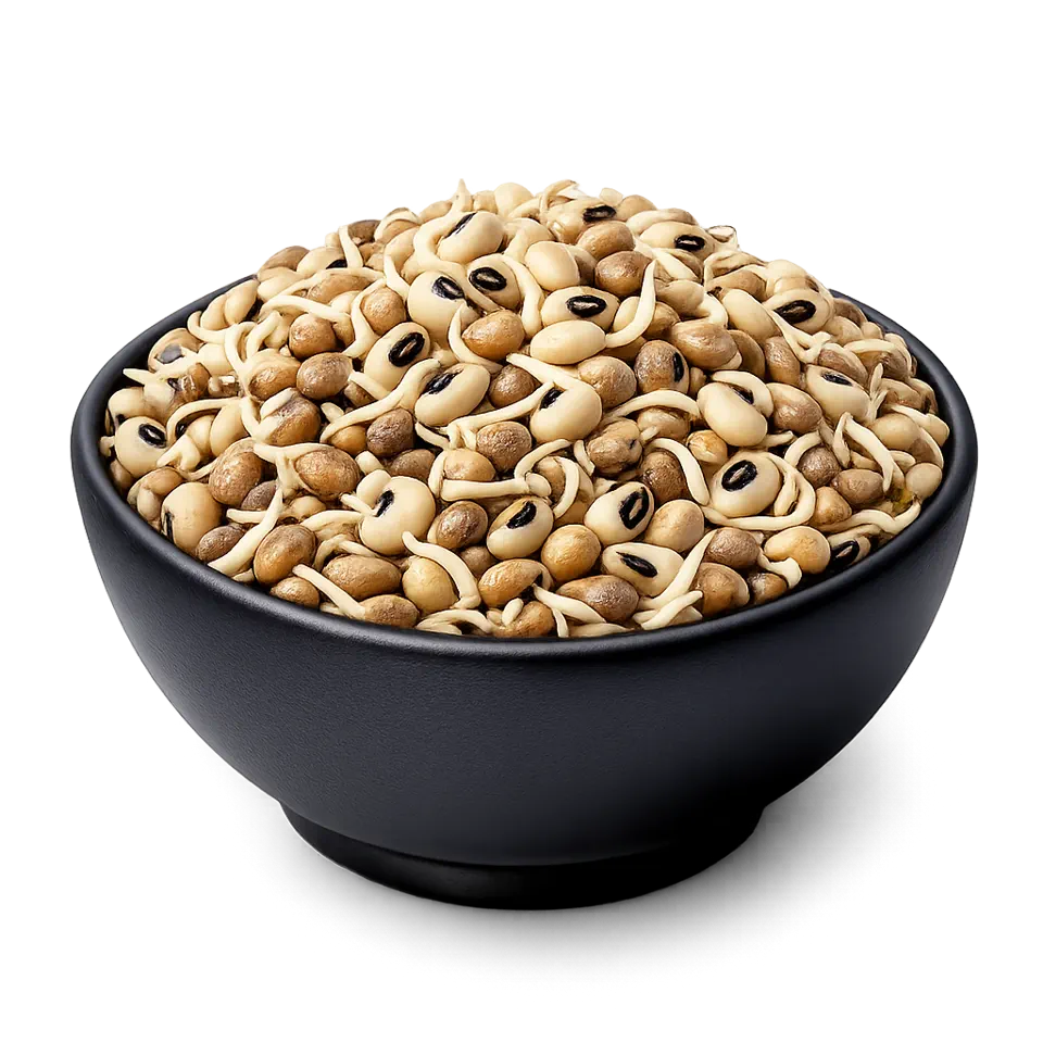 Cowpea (Lobia) Sprouts