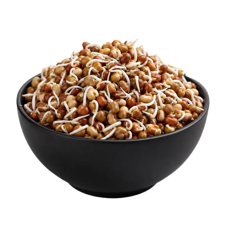 Horse Gram (Kollu) Sprouts