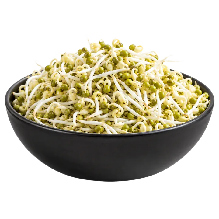 Mung Bean Sprouts