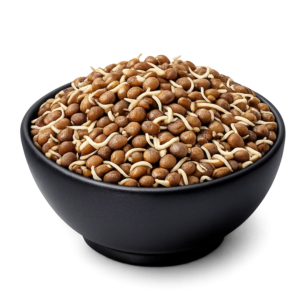 Whole Masoor Dal (Brown Lentil) Sprouts